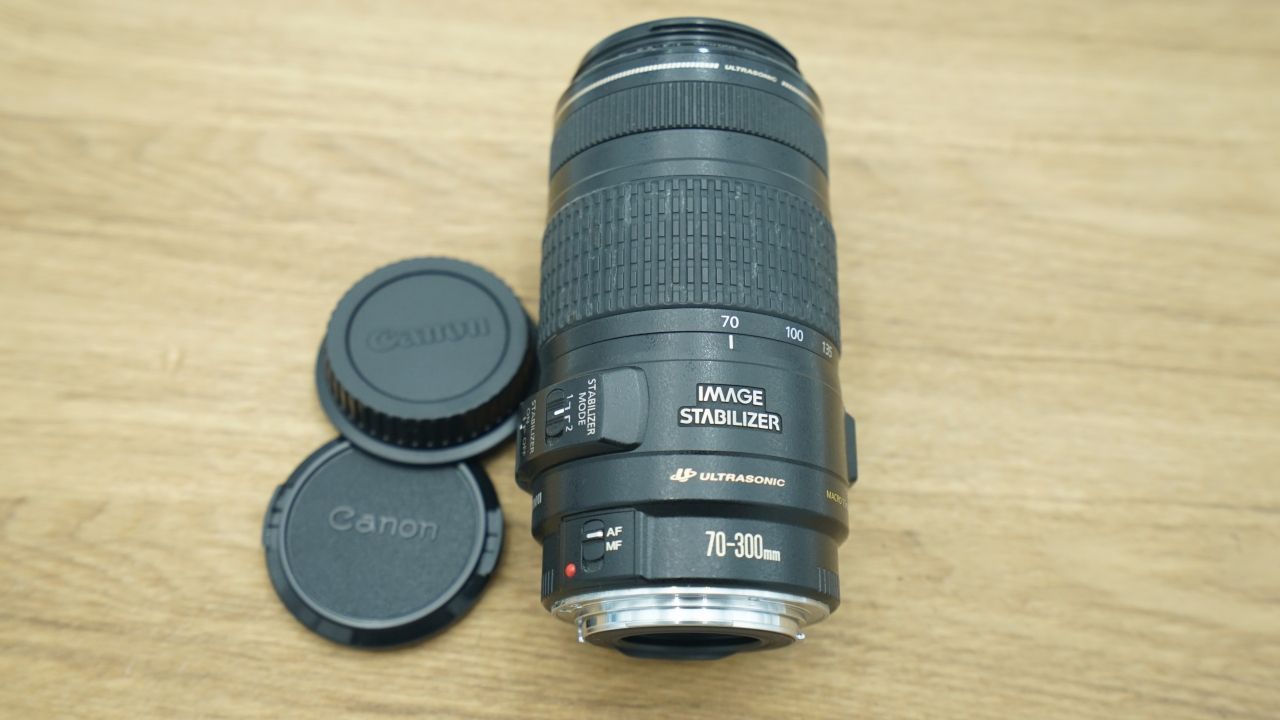 8238 良品 Canon EF 70-300mm 4-5.6 IS USM - カメラ・アウトドア