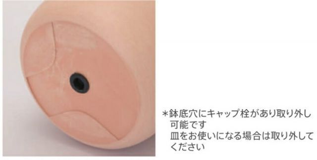 花 観葉植物用ポット エステリ 38 G Recycled Plastic POT 1個入り 83131 底穴あり 受皿付き 代引き不可 大型ポット FARM p133