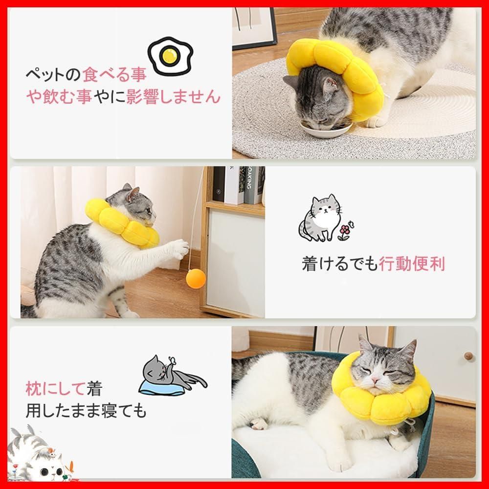 手術後のケアに