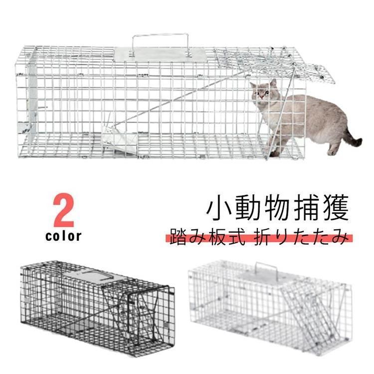 ペット