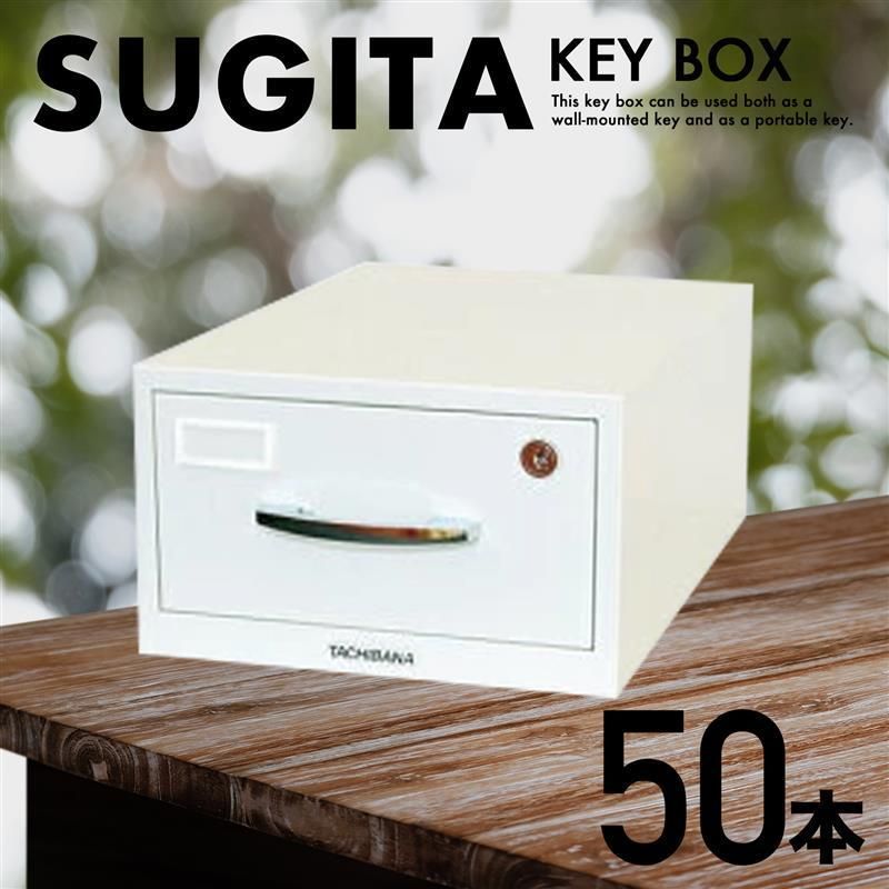 エースキーボックス 50本用 ホワイト D-50N 杉田エース キーボックス キーキャビネット 物件管理 キーステーション