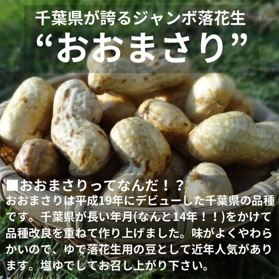 ゆで落花生用 生落花生おおまさり 1kg　令和6年産  洗浄済