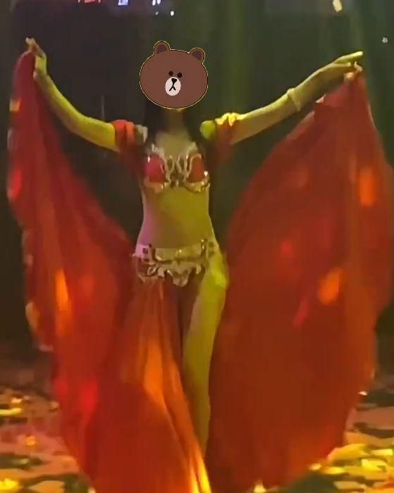 ベリーダンス衣装 ブラ スカートセット オーダーメイド LLC-HASEGAWATOSO_COM