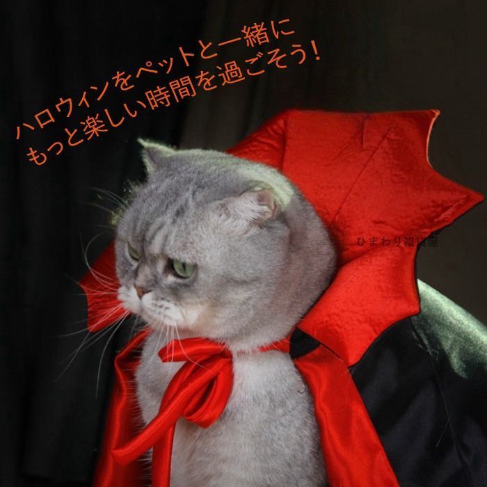 NEKO NEKO WINTER HOLIDAYSハロウィン企画～過去累計販売12万個