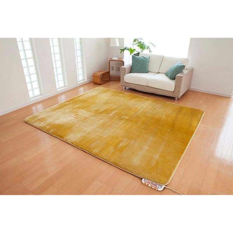 ゼンケン 電磁波99 カット 電気ホットカーペット 3畳用本体のみ Pシリーズ 省電力 ダニ対策機能 こたつ併用 ZCB-30P 1