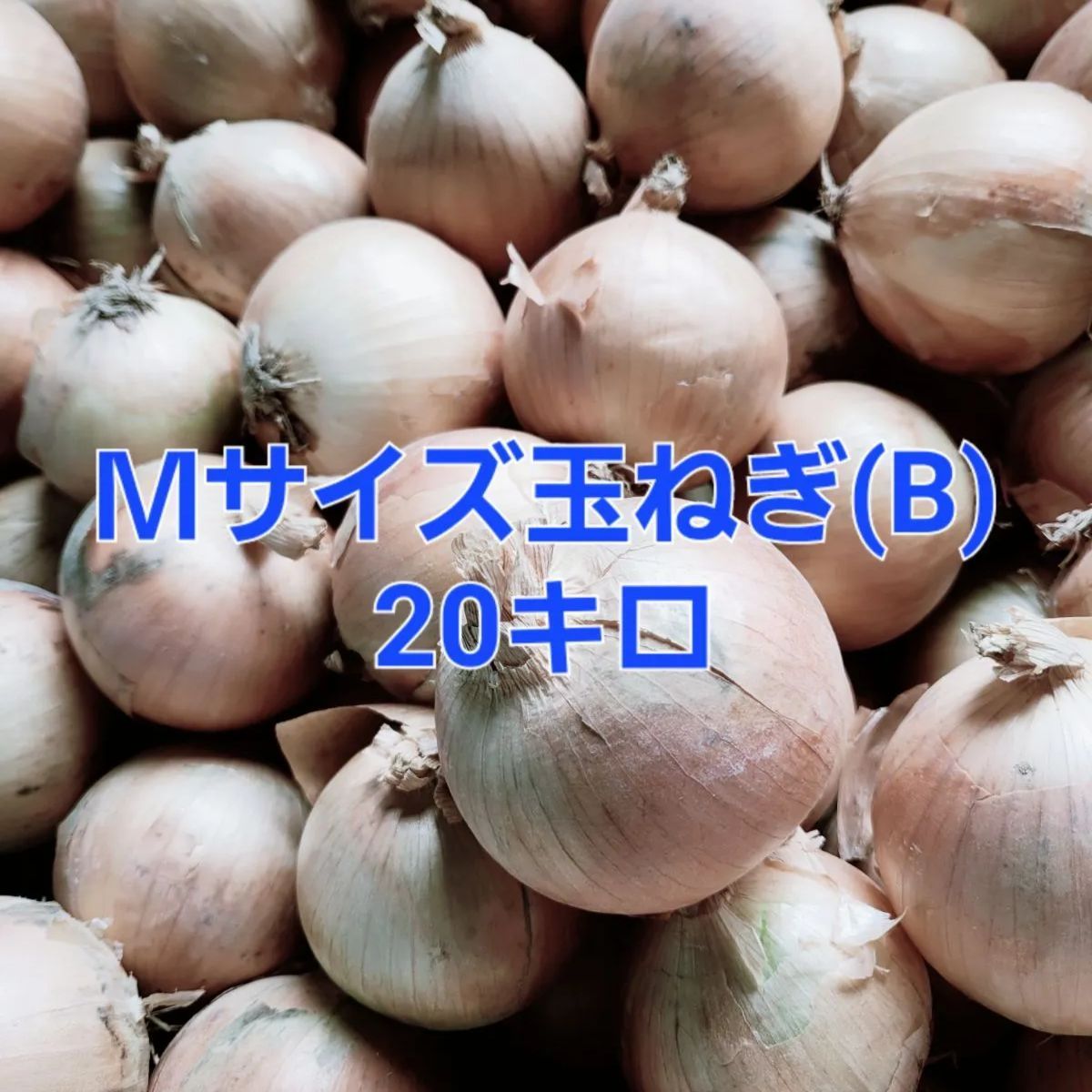 メルカリ　北海道産玉ねぎＭサイズB【20kg】　玉ねぎ農家のお店@タイムセール中