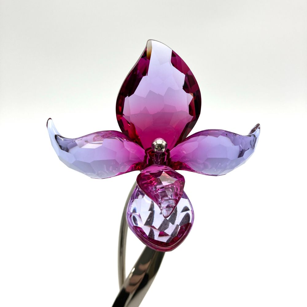 【希少•美品】SWAROVSKI Doroa Fuchsia Rain 廃盤品 希少•美品】SWAROVSKI Doroa Fuchsia Rain 廃盤品 - メルカリ