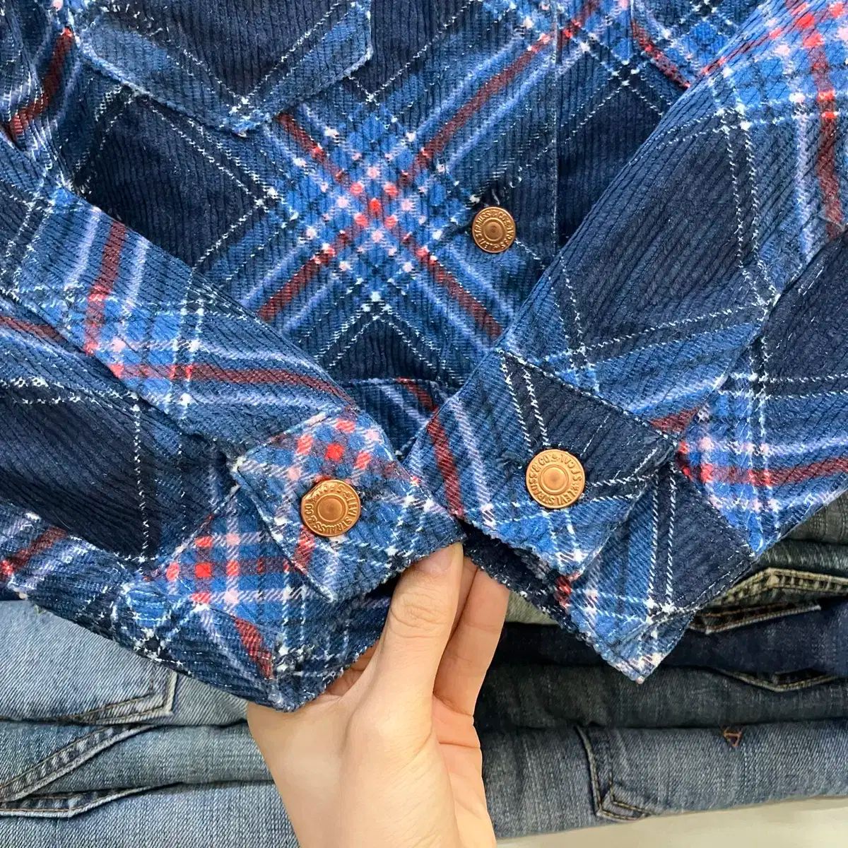 コーデュロイ チェック