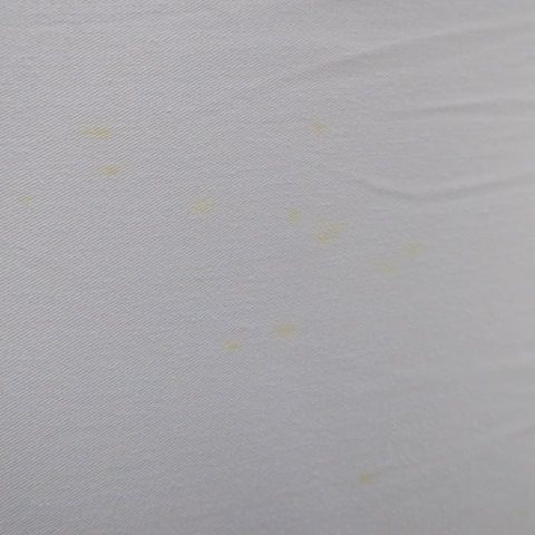 セミダブル