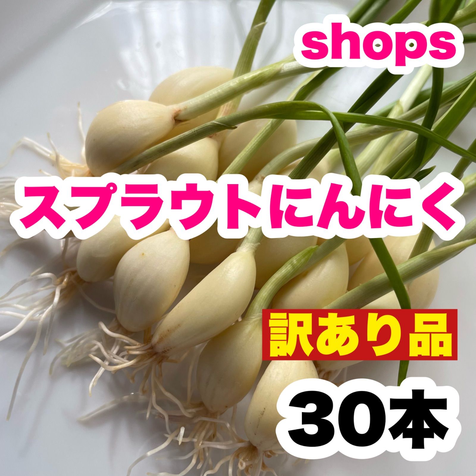 30 高知県産 にんにくスプラウト 即購入OK
