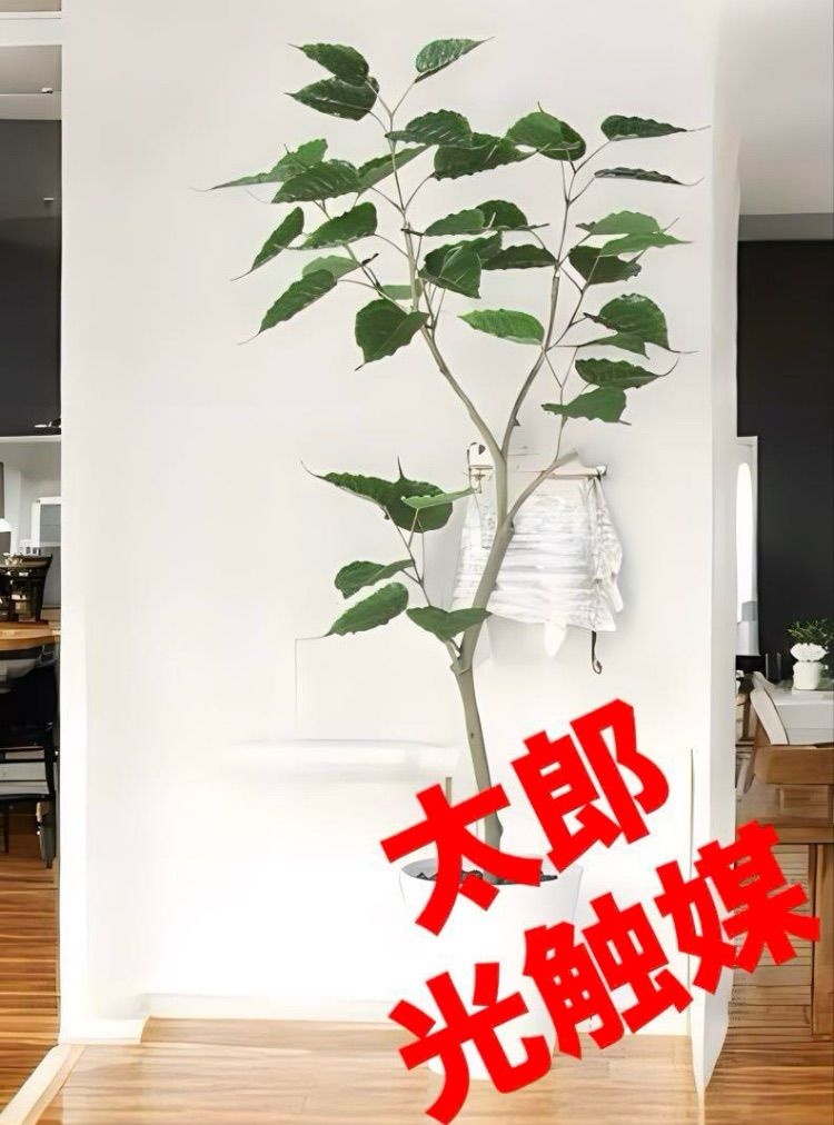 光触媒　人工観葉植物　ウォールグリーン　フェイクグリーン　インドボダイジュFST 光触媒 人工観葉植物 ウォールグリーン フェイクグリーン インド