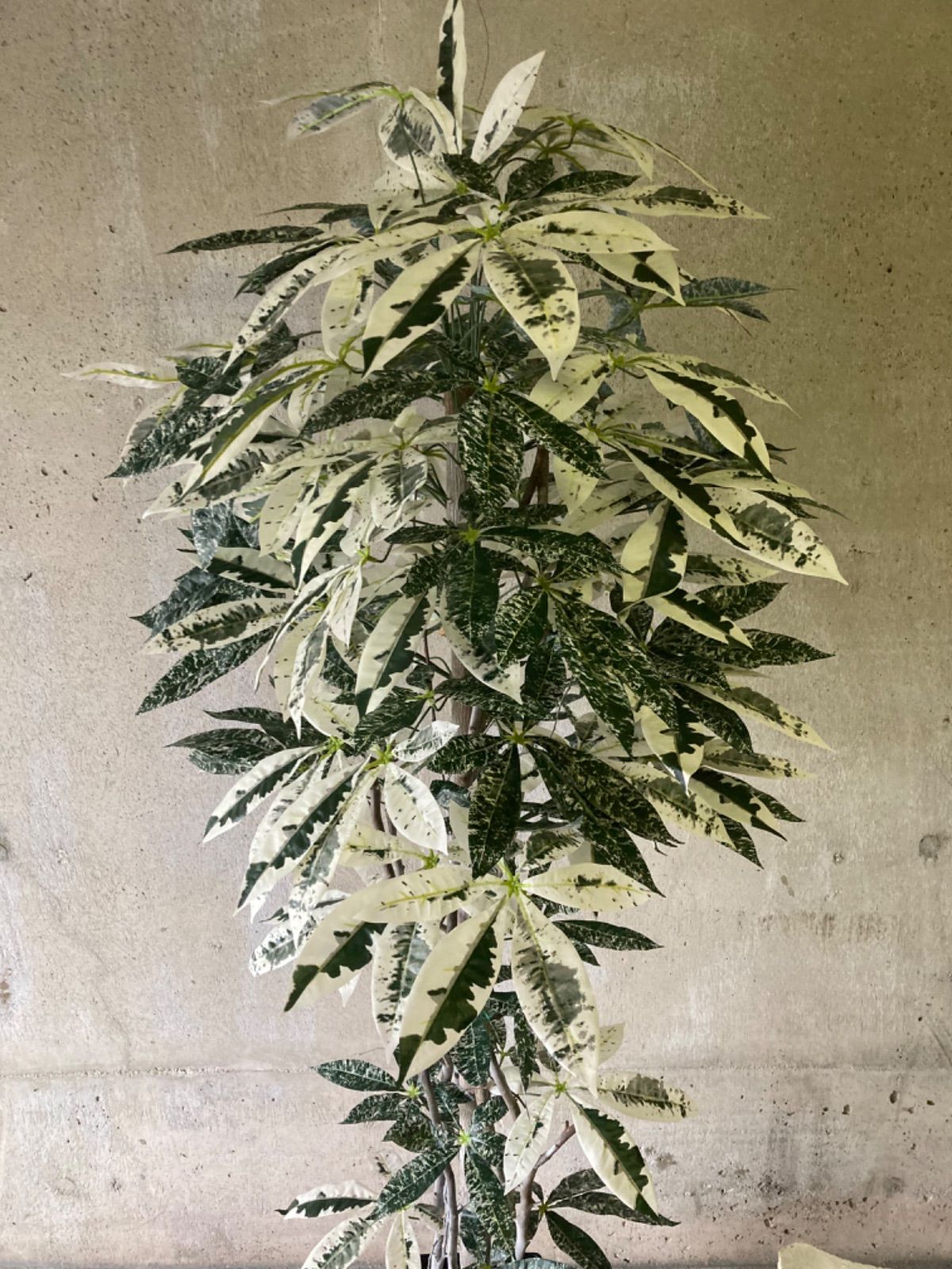 光触媒人工観葉植物ウォールグリーンフェイクグリーン斑入りパキラ175