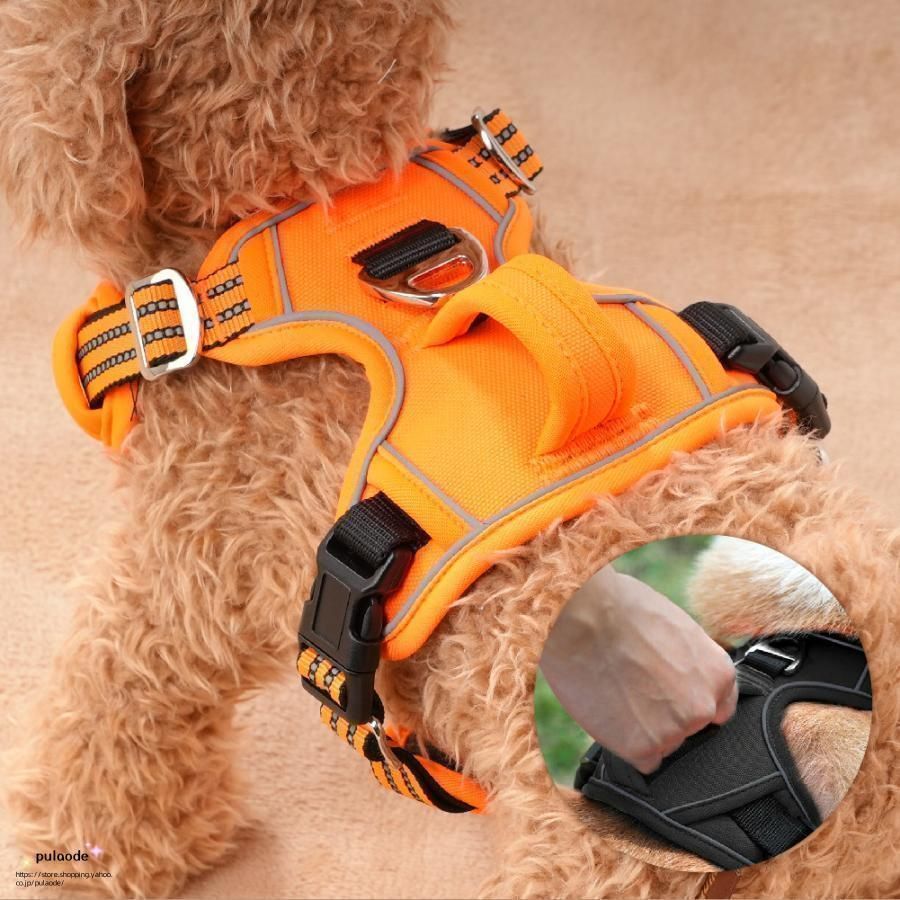 おしゃれ かっこいい