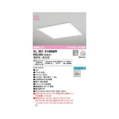 【新品・7営業日以内発送】オーデリック ODELIC XL501019BMR LEDベースライト【沖縄離島販売不可】 34,259円