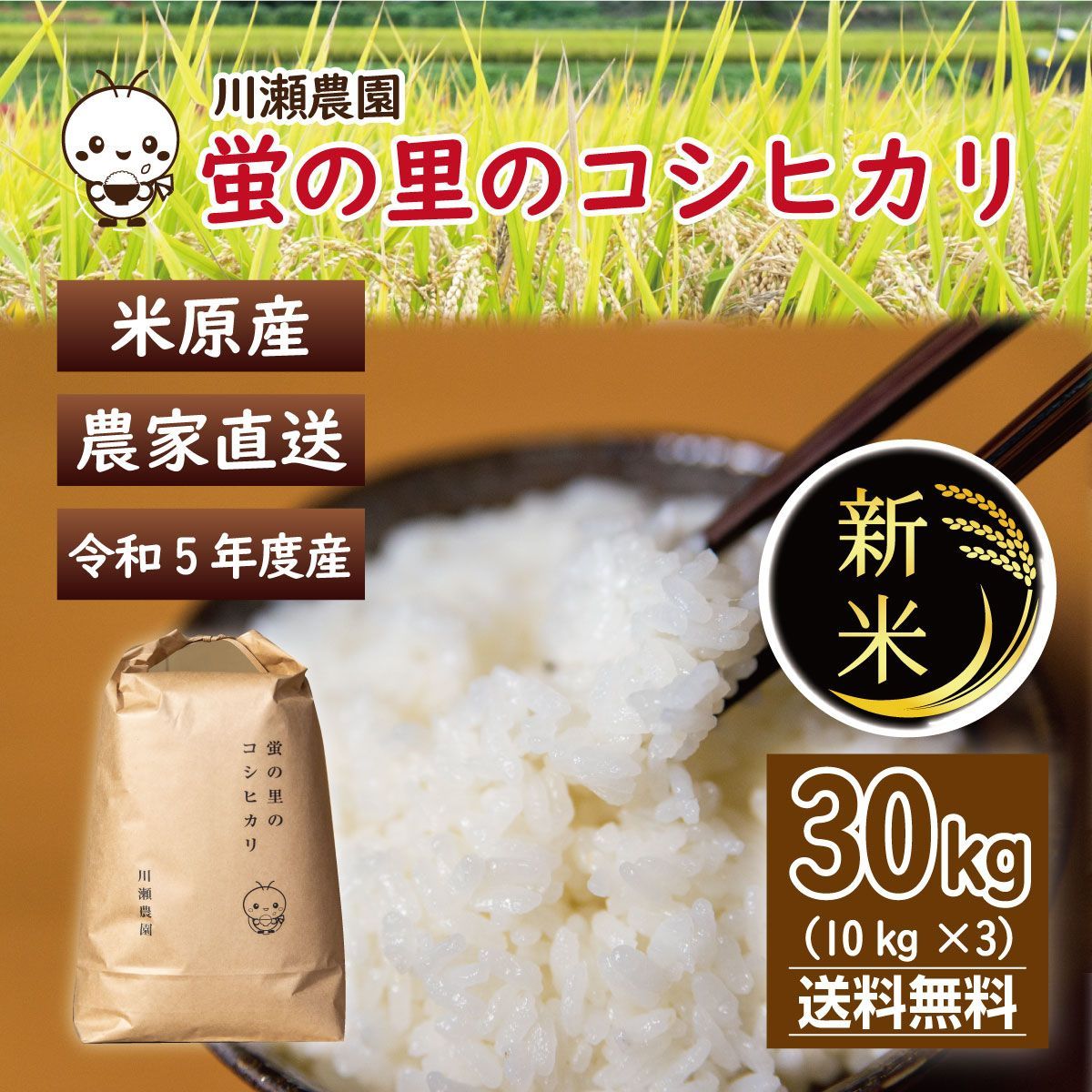 蛍の里のコシヒカリ】新米 １等米 30キロ 白米 令和５年産 送料無料 - 米