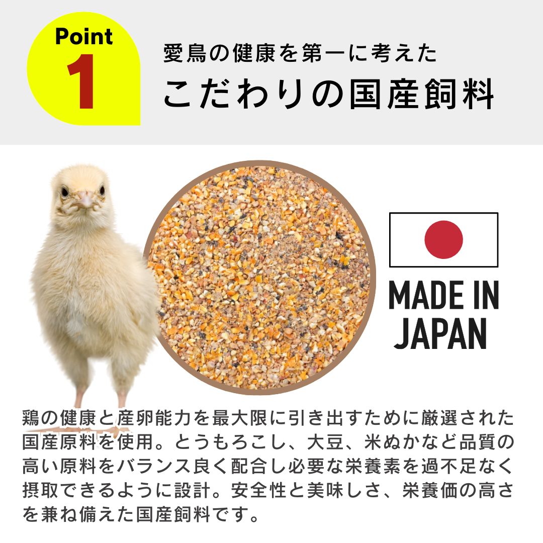 ひよこ 雛
