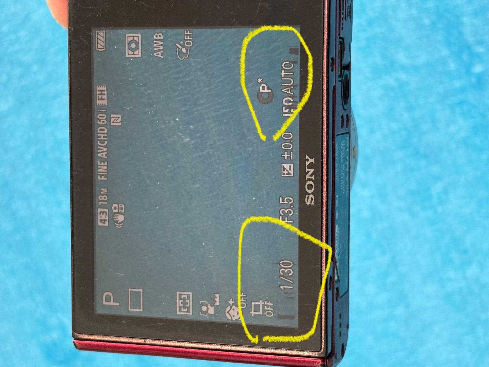 SONY DSC-WX500