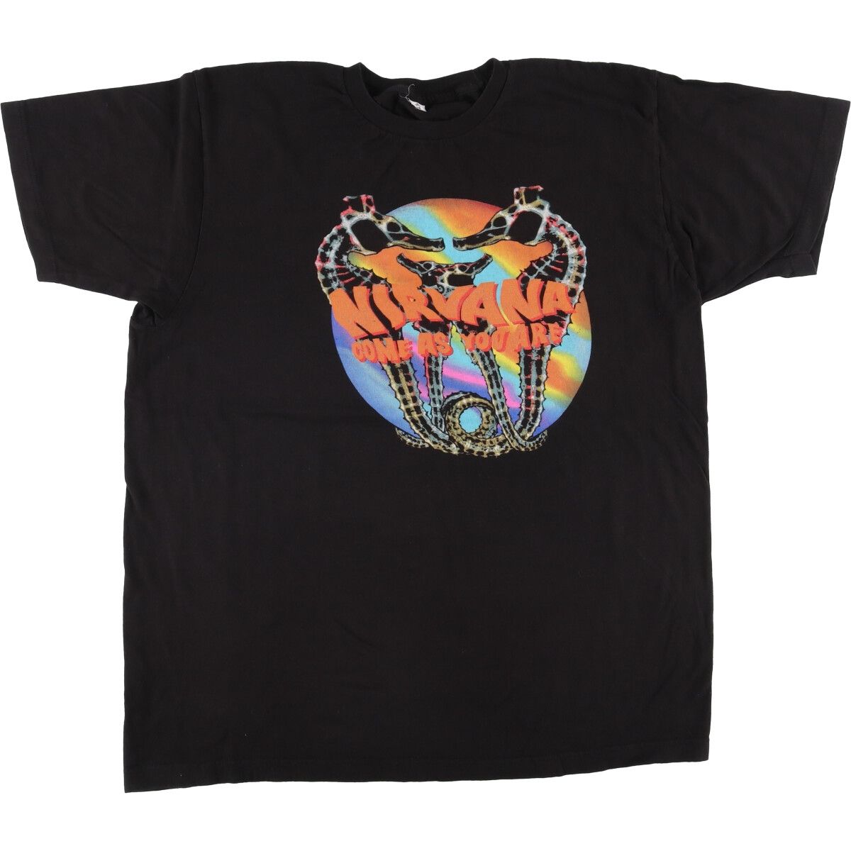 古着 タルテックス TULTEX NIRVANA ニルヴァーナ バンドTシャツ バンT メンズXL相当|eaa543928