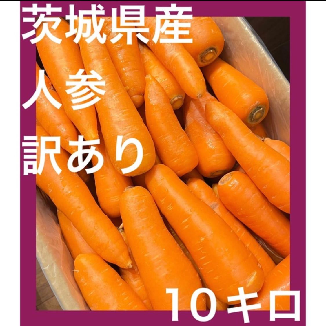 人参訳あり10キロ - 野菜