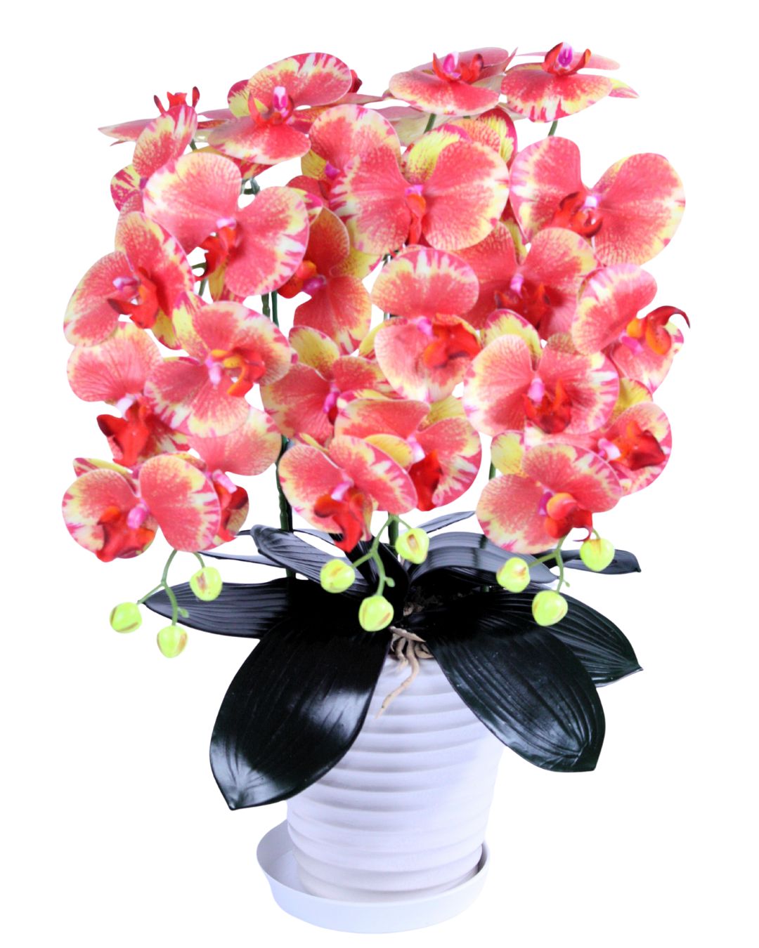 胡蝶蘭9輪3本立レッドイエロー模様入り陶器鉢 受け皿付き 光触媒品