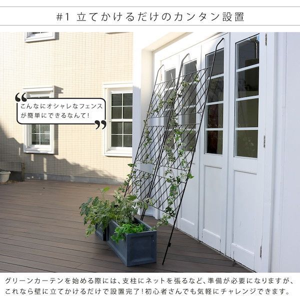 アイアン製グリーンカーテン アーガイル 2枚組 ガーデニング 農業 フラワースタンド 園芸ラック IFGC011-2P-BLK フェンス アイアン グリーンカーテン 庭 ベランダ ガーデニング 枠 柵 仕切り 目隠し 境目 アンティーク トレリス 園芸 STEELWINDOWSANDDOORS_COM