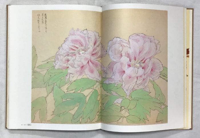 図録】堅山南風素画（花）発行：日本放送出版協会 著：堅山南風