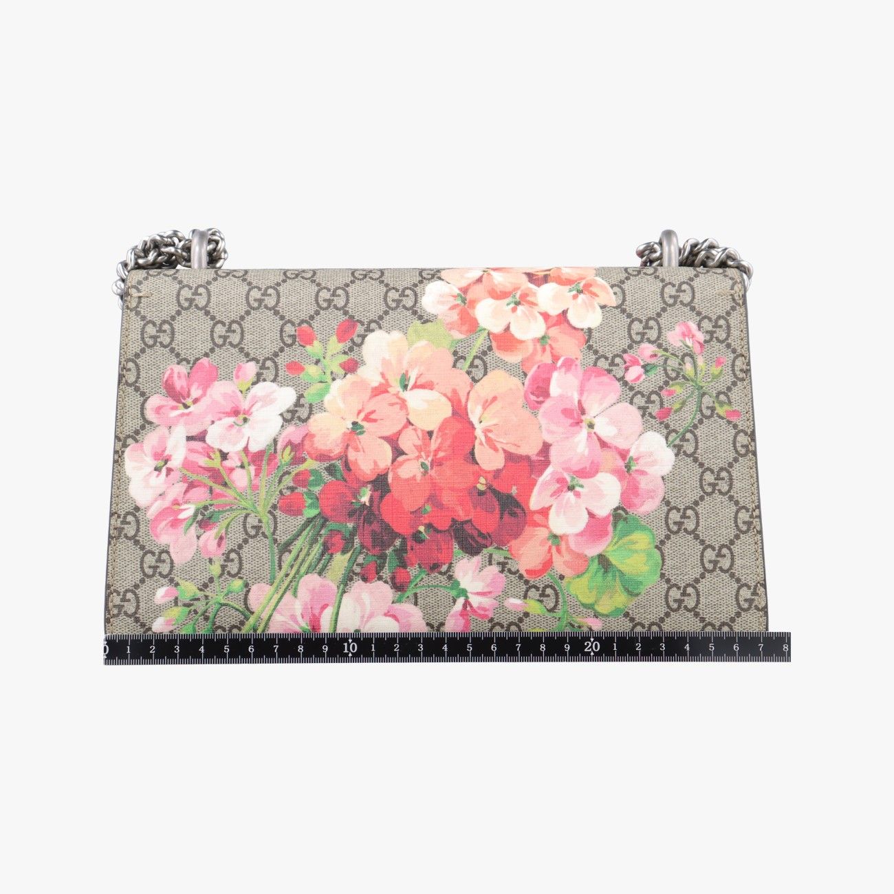 グッチGucciディオニュソスベージュ×レッド×マルチ PVCコーティングキャンバス400249D025168687