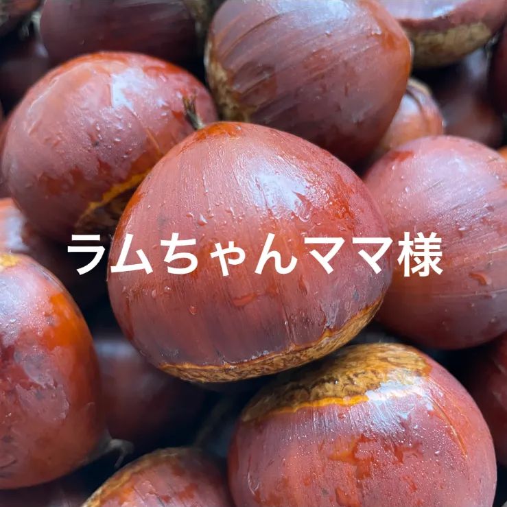 注文 ぽろたん 3kg ポロたん栗 3キロ 大人気品種】ぽろたん栗