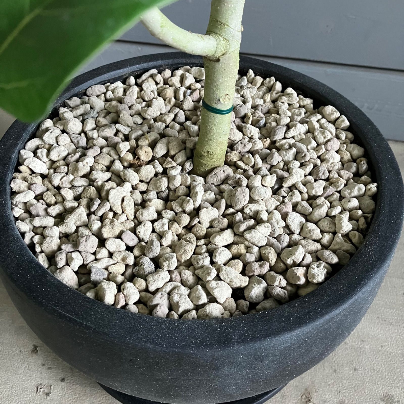 アンティーク風 受け皿付き