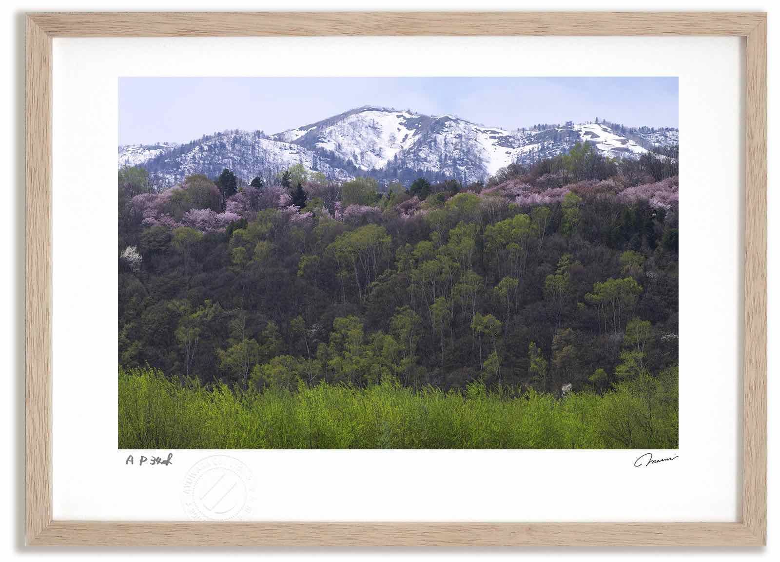 MotoGP ミック・ドゥーハン選手 直筆サイン入り色紙 色紙サイン