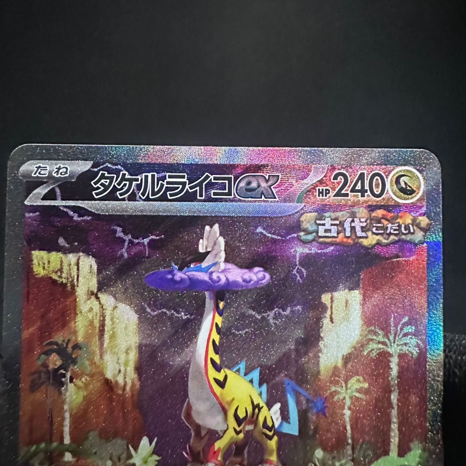 ポケモンカード　ライコウ　sar サーナイト　タケルライコウ　テツノブジン ポケモンカード ライコウ sar サーナイト タケルライコウ テツノブジン