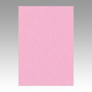 リンテック ニュー Ｒ 8 NCR 234 ときいろ