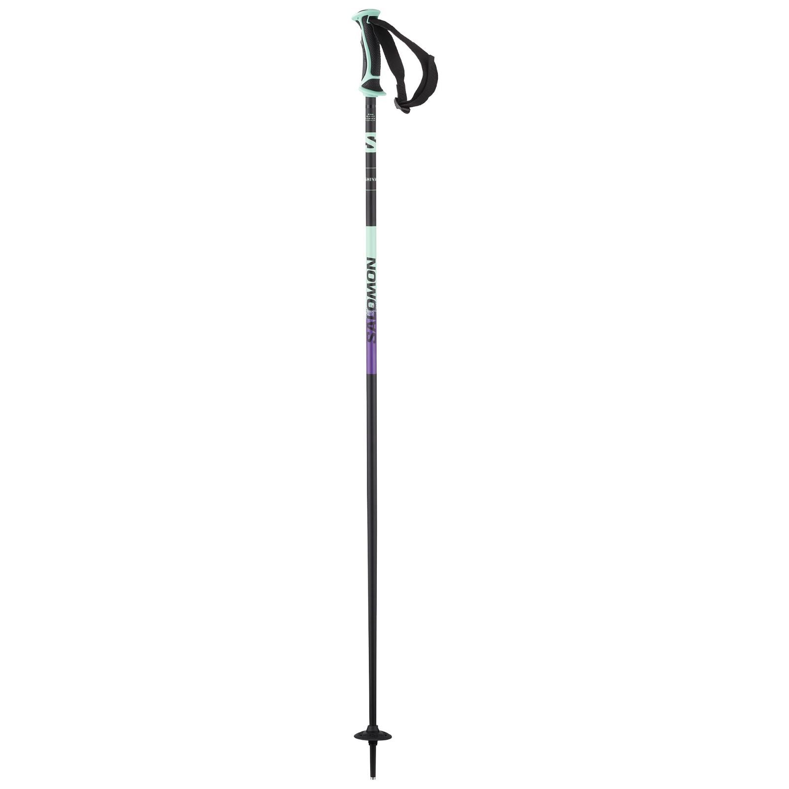 サイズ141.5cm】クロスカントリースキー用ポールSWIX Star CT1 【楽天