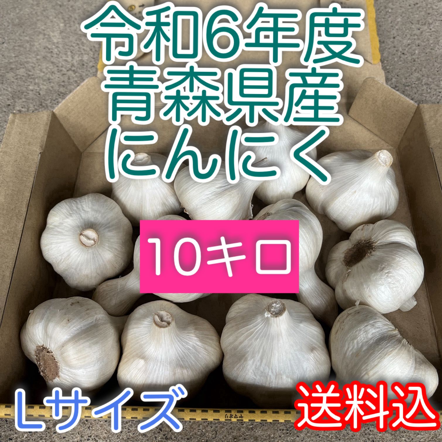 青森県産農薬不使用福地ホワイトMサイズにんにく10キロ送料無料 にんにく 青森 国産 Mサイズ 10kg 訳あり C品 福地ホワイト六片