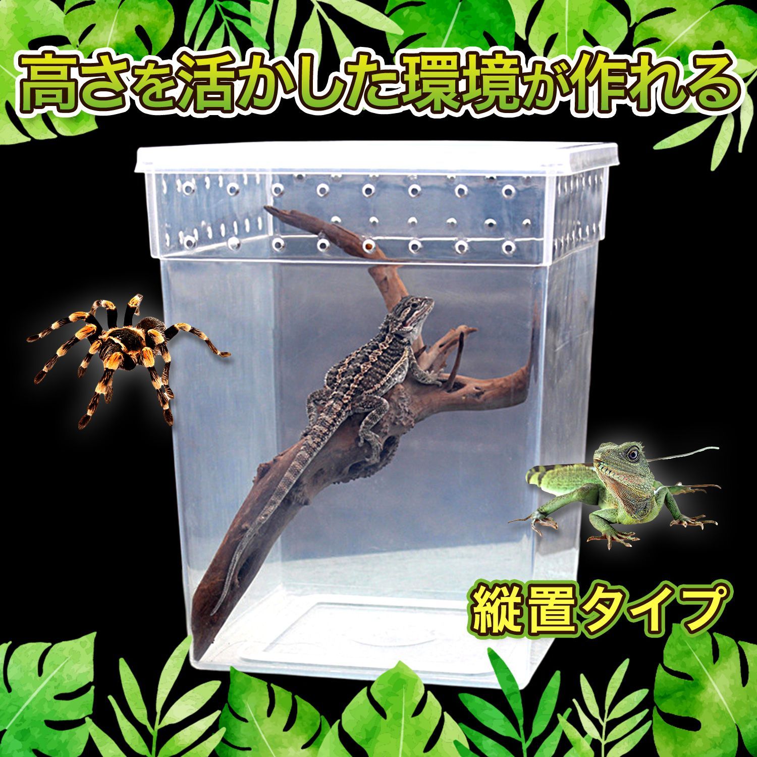 爬虫類昆虫類飼育 プラスチックケース 縦置 エサ皿設置可能 クリア 10