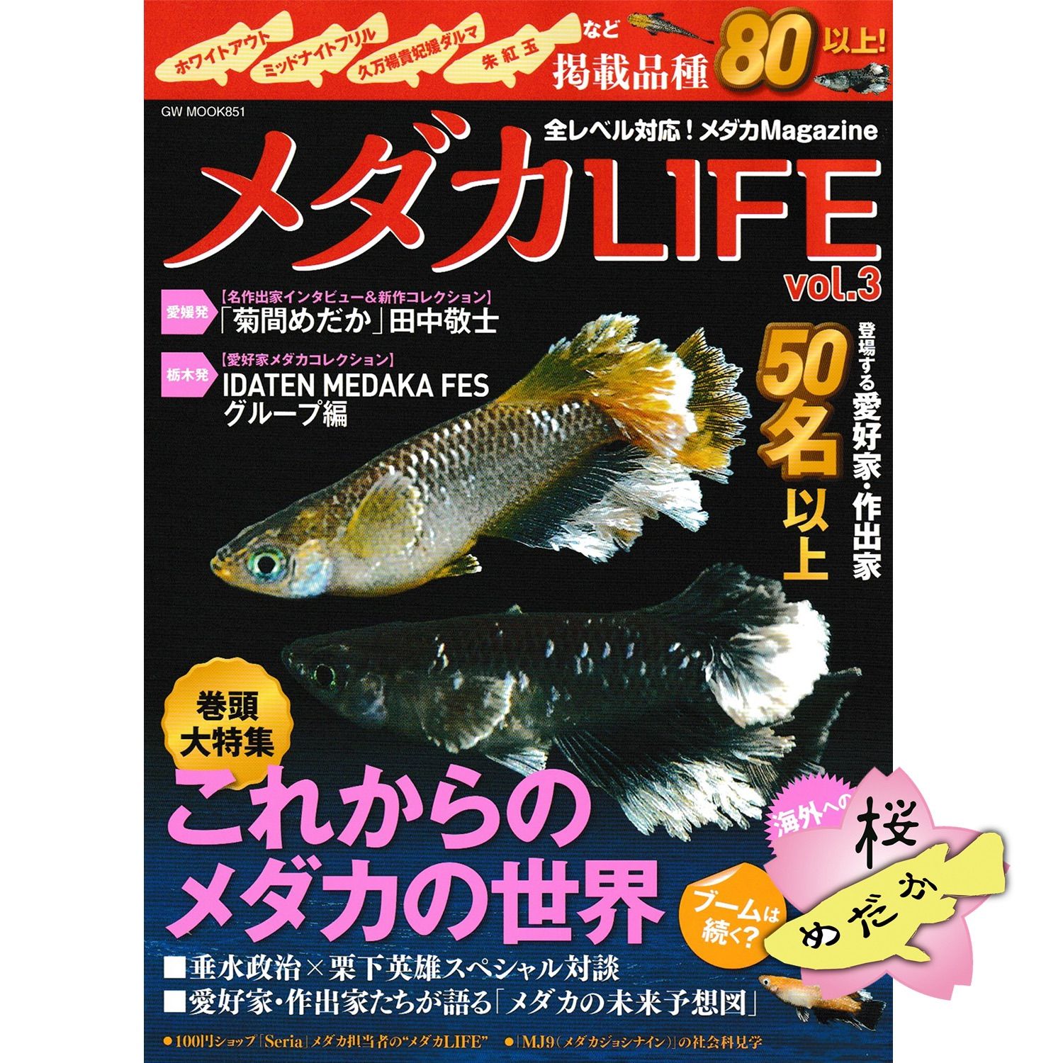 菊間めだか] 朱光菊美人 1トリオ - 魚類、水生生物