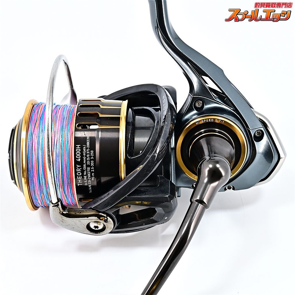 ダイワ セオリー 4000H DAIWA THEORY（ダイワ純正】17セオリー
