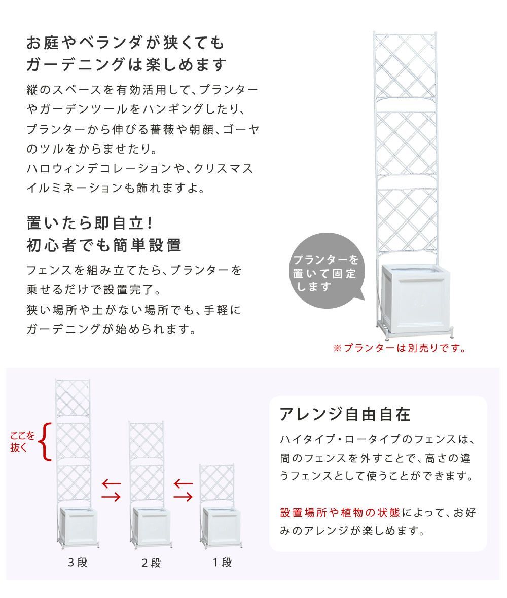 誘引 屋外