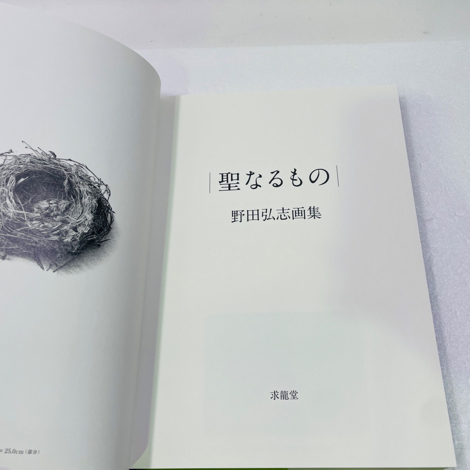 聖なるもの 野田弘志画集 - メルカリ