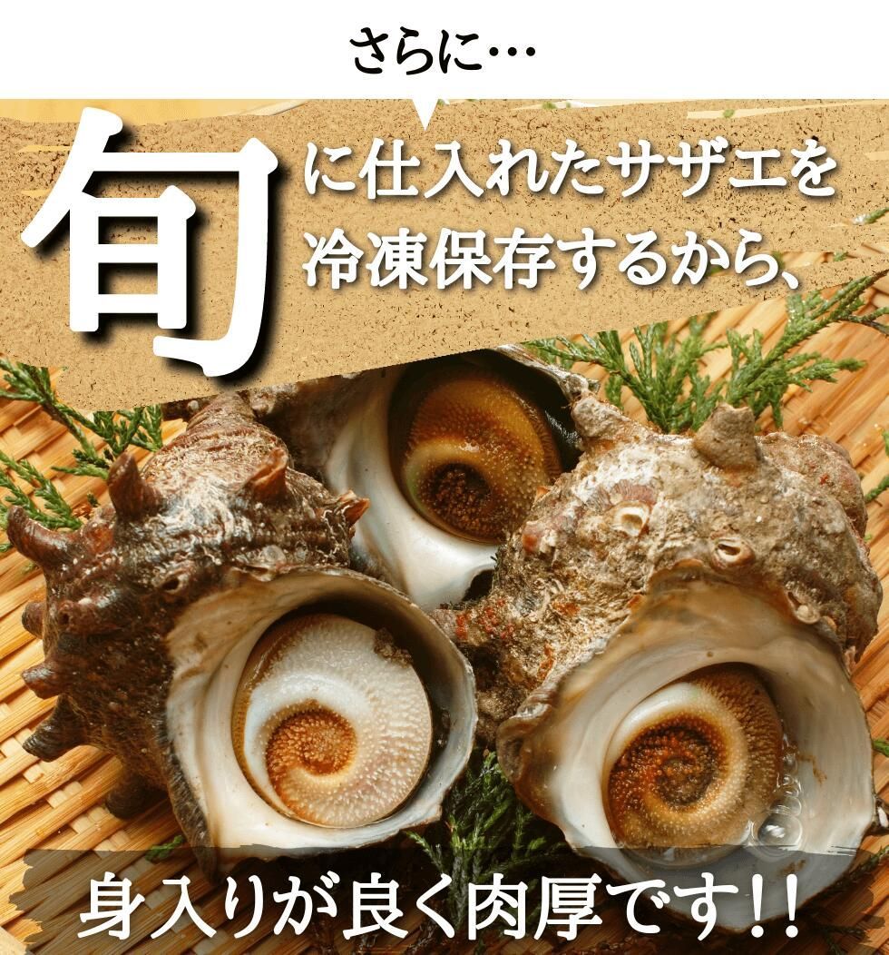 サイズおまかせ・国産生サザエ3kg（海鮮BBQバーベキューに）新鮮！冷凍 さざえの壺焼き