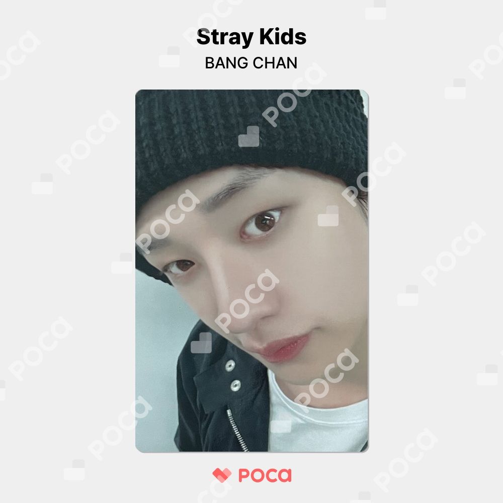 straykids バンチャン スキズ トレカ Stray Kids x SKZOO POP-UP