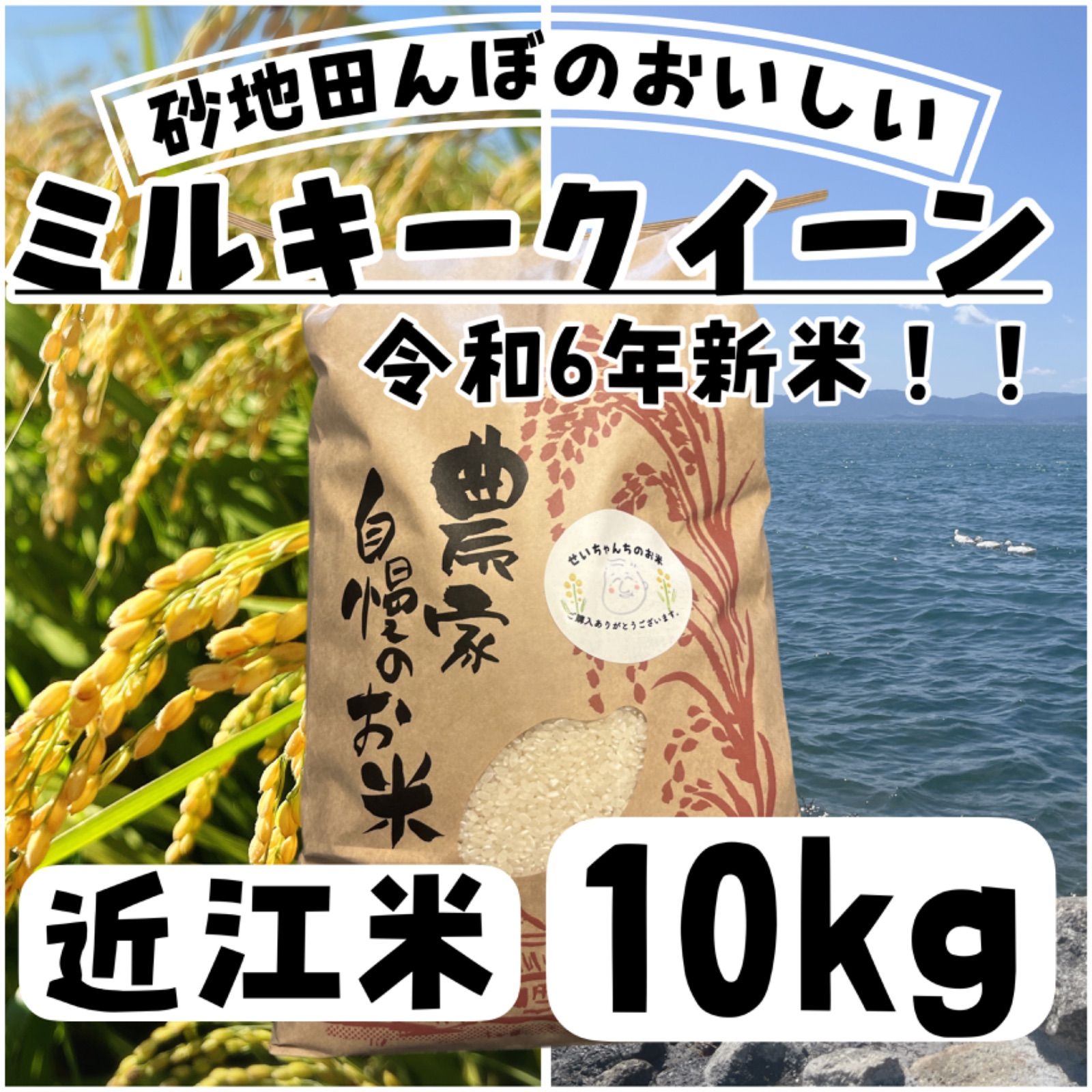 新米 令和6年産 コシヒカリ 無洗米20キロ