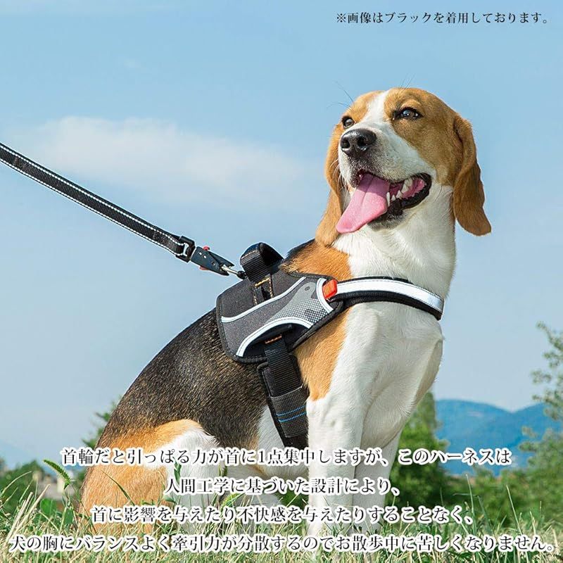お散歩グッズ 介護