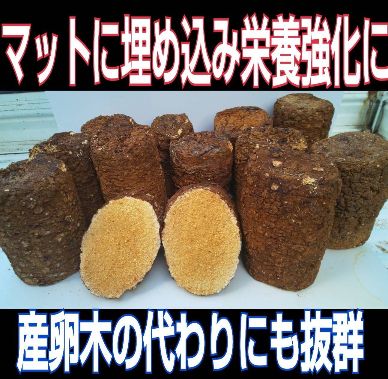 送料無料！椎茸廃菌床4ブロック☆カブトマットに埋め込み栄養強化！クワガタ産卵木に - メルカリ