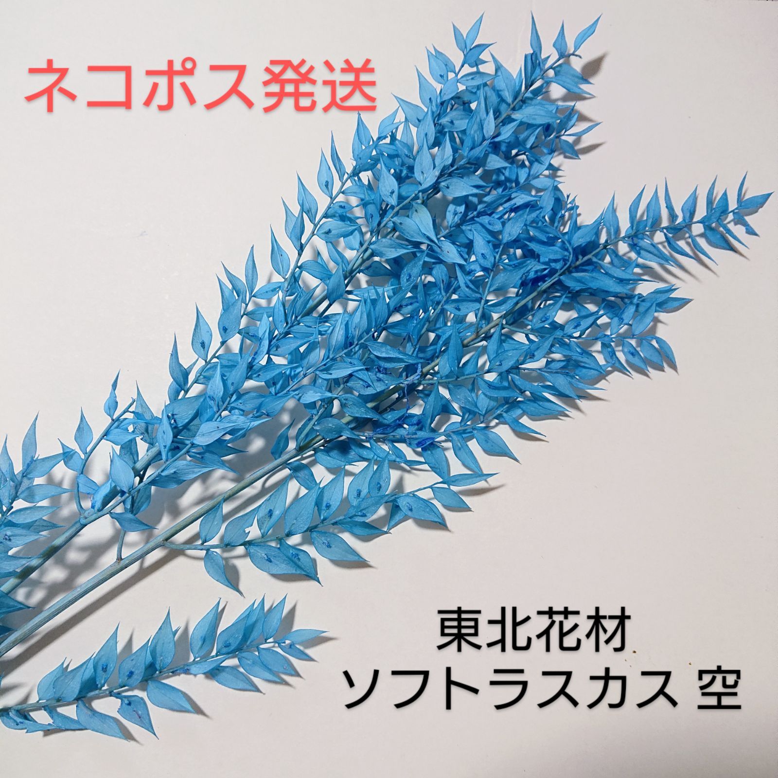 東北花材 ソフトラスカス 空 (新仕様) 新品1束 - ✿❀sourire✿❀ハー