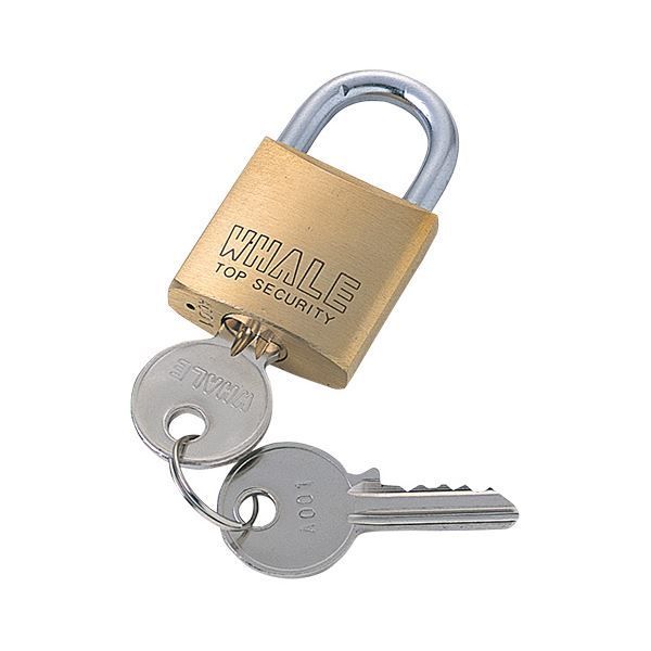 5個セット サンワサプライ eセキュリティ 南京錠大No.1 SLE-1L-1NX5
