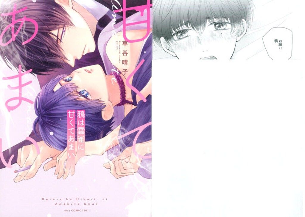drap butler's cafe  車谷晴子　鴉は雲雀に甘くてあまい 車谷晴子『鴉は雲雀に甘くてあまい』 drap STELLAMAP Cafe ミニ