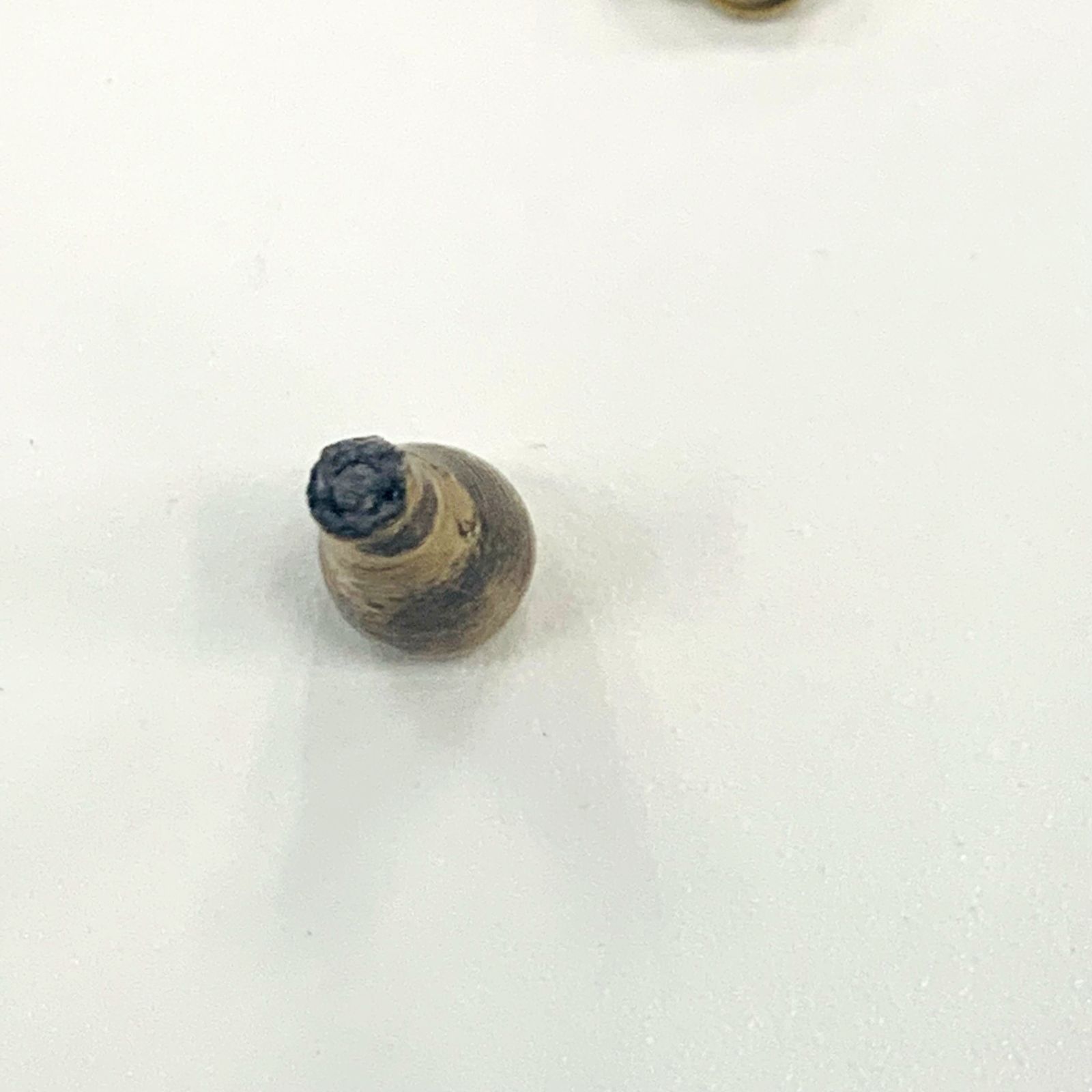 x0107