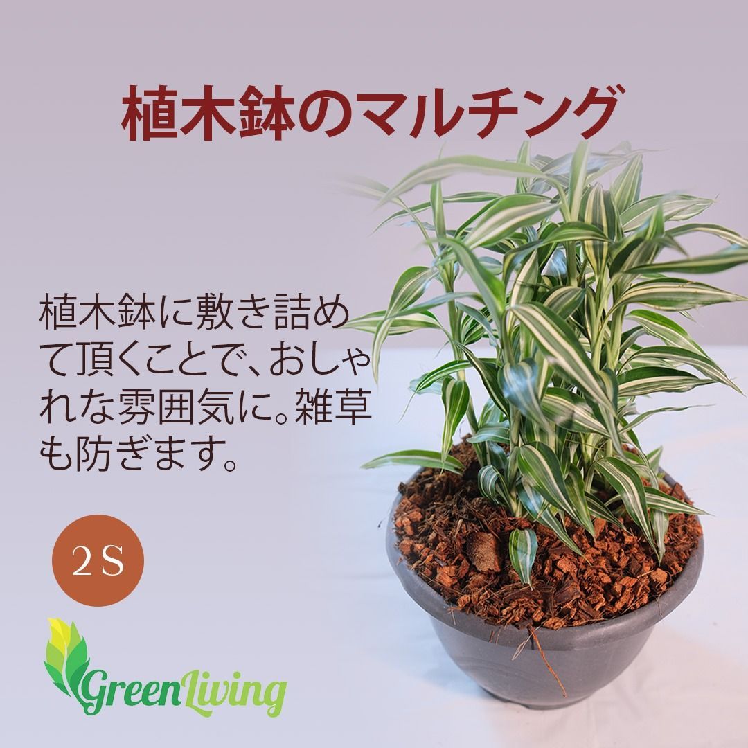2個入りパック