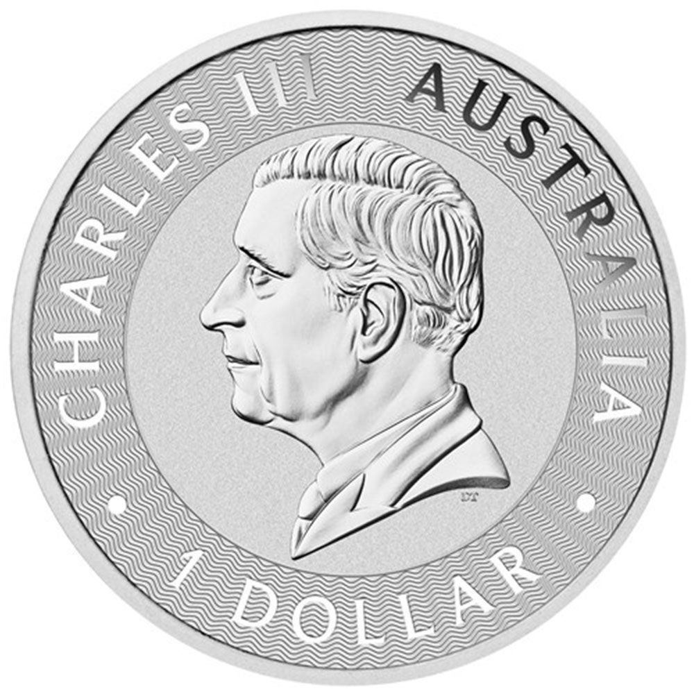 オーストラリア 2024 カンガルー 1ドル 1オンス 銀貨 【100枚】 (コインチューブ付き) m4199 - メルカリ